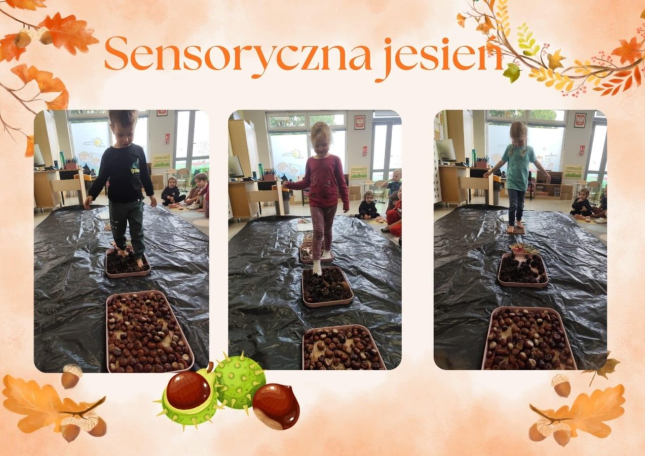 Dzieci przechodzą po jesiennej ścieżce sensorycznej.