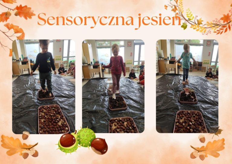 Dzieci przechodzą po jesiennej ścieżce sensorycznej.